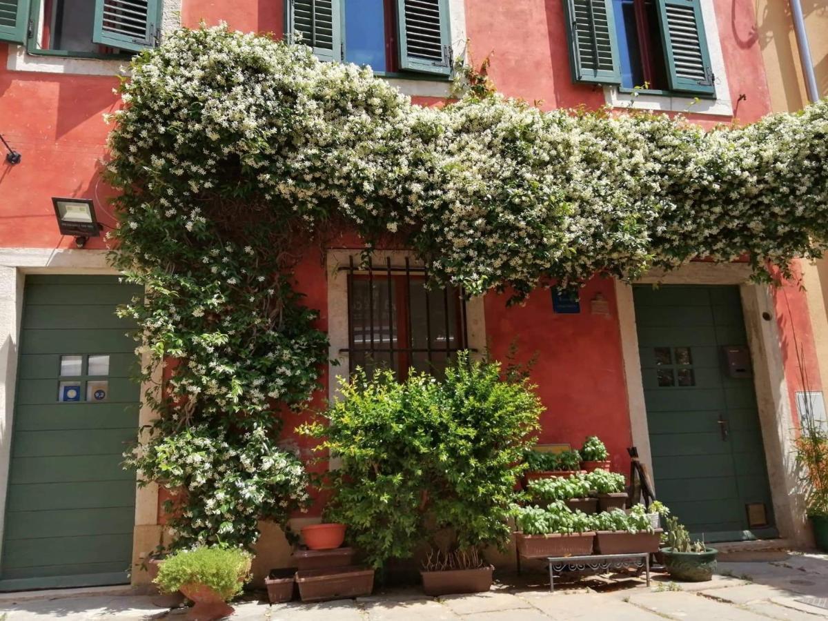 Alighieri Unique Apartment พูลา ภายนอก รูปภาพ