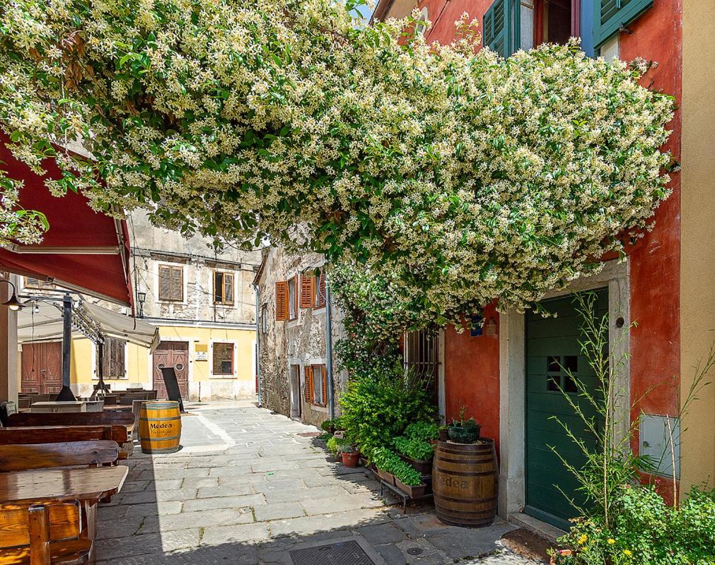 Alighieri Unique Apartment พูลา ภายนอก รูปภาพ